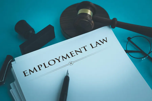 How Employment Law Solicitors Support Workplace Rights