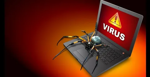 computer virus